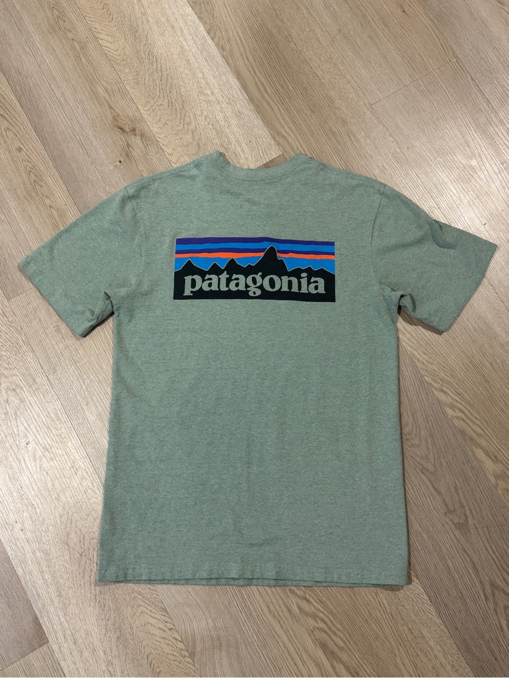 Patagonia Men’s Sage Green Short Sleeve Logo Tee